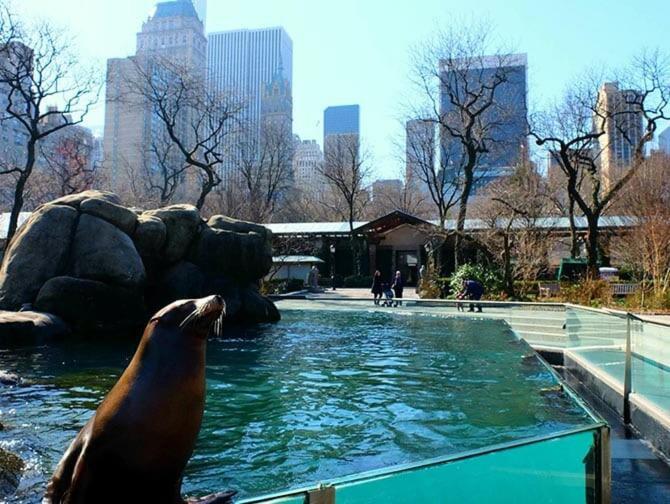 Apartment Your Nyc Escape! 1br Just Steps From Park