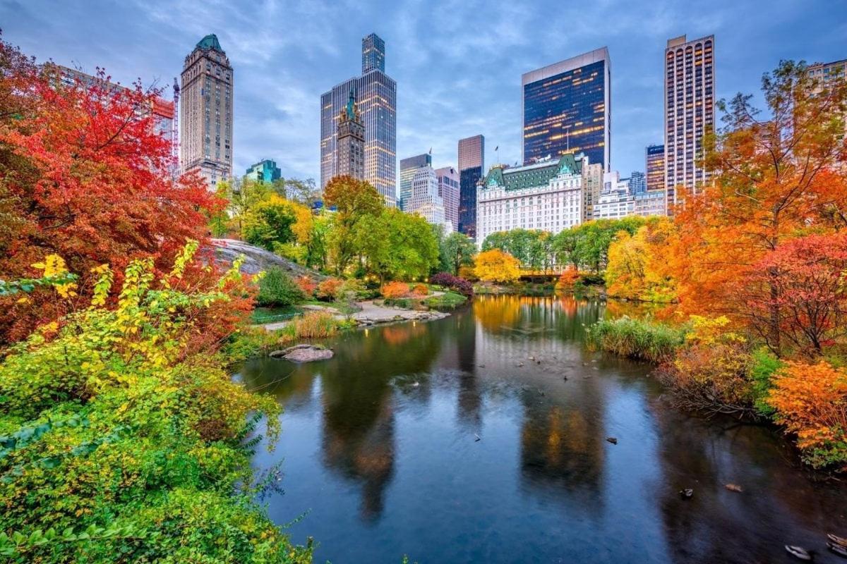Your Nyc Escape! 1br Just Steps From Park Apartment